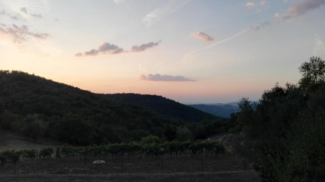 Sandra House Apartment Castellina in Chianti Bagian luar foto