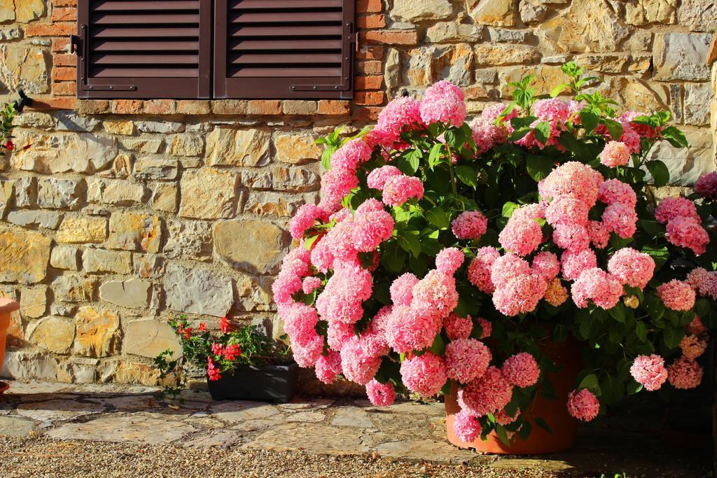 Sandra House Apartment Castellina in Chianti Bagian luar foto