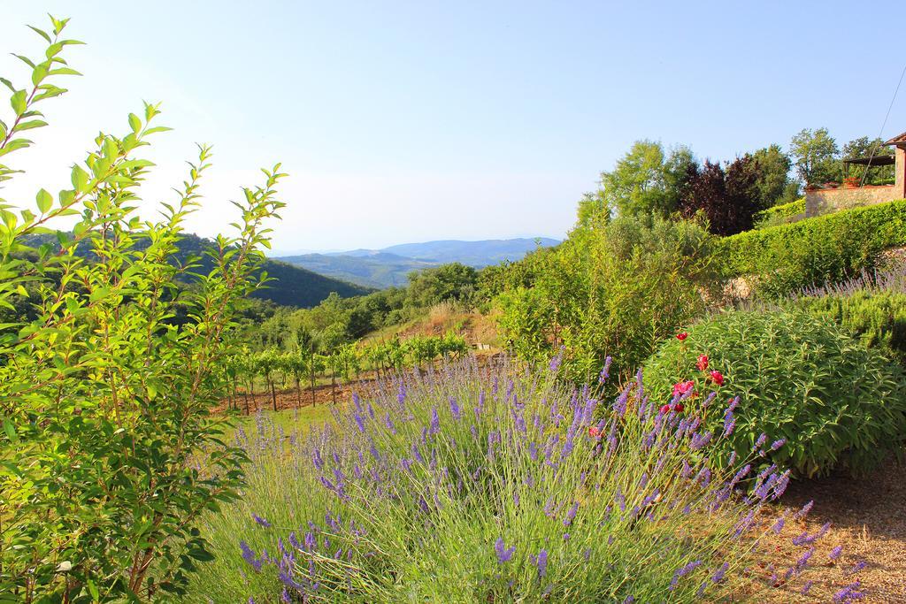 Sandra House Apartment Castellina in Chianti Bagian luar foto